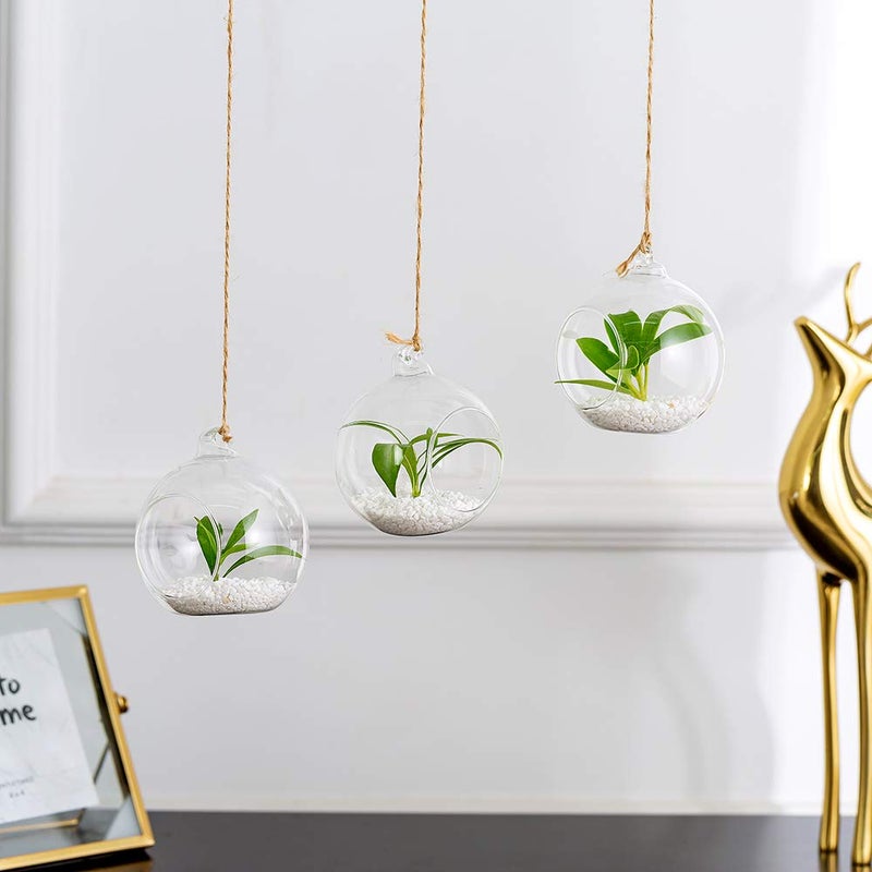NUPTIO Pcs of 8 Hanging Glass Terrarium Air Plant Candle Holders Home Wedding Party Centerpieces Decor Indoor Outdoor Air Plant Terrariums - Image 5